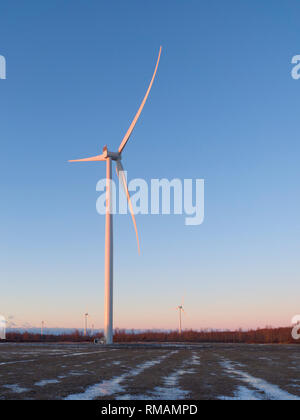 Parc éolien de l'île Amherst au lever du soleil en hiver, de l'Ontario, Canada Banque D'Images