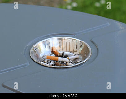 Corbeille pleine de mégots de cigarettes à l'intérieur cendrier dans un parc public Banque D'Images