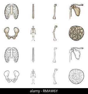 Nervure, colonne vertébrale, hanche fémur,,appareil locomoteur Fracture,,ostéoporose,,cage brisée,chiropratique,bassin,joints,scientifique,la douleur,cell,xray,ossature,péroné,tissu,biais,squelettique,body,moelle,shin,chirurgie pelvienne,dommage,conjonctif,tibia,en bonne santé,médecine,clinique,biologie,médical,os,,squelette anatomie,des,organes,,set,icône,,illustration,collection,isolé,design,graphisme,élément vecteur vecteurs,signer , Illustration de Vecteur