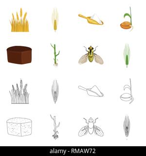 L'orge de printemps,farine,graines,pain,etuve,voler,repas,spike croître,root,hiver,insectes,ecope,brun,terrain,lutte,sol,l'alimentation, contrôle, un champ d'avoine,sain,stop,Culture,dur,céréales,agriculture,germination,agriculture,seigle,plantes,blé,maïs,grain,récolte,ferme,,champ,set,icône,,illustration,collection,isolé,design,graphisme,élément vecteur vecteurs,signer , Illustration de Vecteur