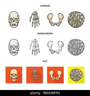 Crâne,poignet,ostéoporose de la hanche,la mort,main,,joints,cell,monster,bassin,calcium,tissus,le mal,chirurgie,structure,horreur,conjonctif,sain,bras,tatouage,cartilage,carpe,fémur,santé,tête,l'appareil locomoteur,eye,joints,rx,system,l'enfer,médecine, biologie médicale,clinique,os,squelette,anatomie,des,organes,,set,icône,,illustration,collection,isolé,design,graphisme,élément vecteur vecteurs,signer , Illustration de Vecteur