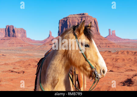 Beau cheval brun et jaune tête portrait. Crinière noire. Petit vert. Désert et pittoresque paysage de montagne dans la Vallée de Monument Banque D'Images
