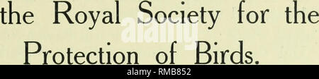 . Rapport annuel. Société royale pour la protection des oiseaux ; des oiseaux. Débats à l'Assemblée annuelle de la société de la 23e réunion annuelle a eu lieu le 5 mars 1914, au Palais de Westminster, l'hôtel S.W., Lord Newton dans la présidence. Le Président de la société, la duchesse de Portland, était également présent, et les vice-présidents et les membres du Conseil assistant à inclus le Ranee du Sarawak, la Duchesse de Somerset, Sir Herbert Maxwell, Bart., l'Honorable Mme Drewitt, l'Honorable Mme Henniker, M. Montagu Sharpe (Président du Conseil), Sir John Cockburn, Mme R. W. Williamson, Mlle Clifton, Dr F. D. Drewitt, M Banque D'Images