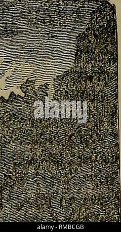 . Rapport annuel. 1er-12e, 1867-1878. La géologie. 78 SUEVEY GÉOLOGIQUE DES TERRITOIRES. Fig. 23, les flux semblent être aussi moderne que l'on doute si l'un cbanges importantes ont eu lieu à la surface depuis qu'ils se sont produits. La rivière coule sur son lit rocheux étroit avec une grande vélocité. L'Est Fojk Tellov entre dans l"'Stone sur le côté est par un étroit, et canon de granit est un flux d'une ampleur considérable. Dans la saison du printemps la quantité d'eau doit être grande, pour la zone drainée par c'est au moins quarante par vingt milles, où la neige tombe en grande quantité et reste un grand por Banque D'Images