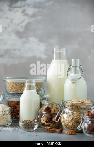 Bouteilles en verre de lait végétal vegan et amandes, noix, noix de coco, lait de graines de chanvre sur fond de béton gris. Bannière avec copie espace. Produits laitiers Lait subs Banque D'Images