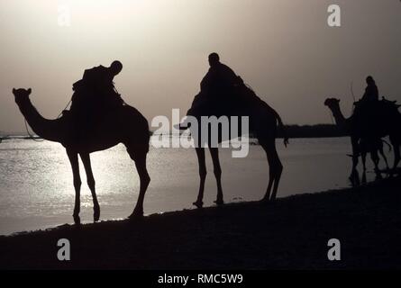 Les silhouettes des cavaliers sur des chameaux dans la lumière du soir sur les rives du lac (Keilak les Monts Nouba). Banque D'Images