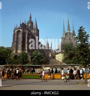 Marché hebdomadaire sur la Domplatz à Erfurt, sur la gauche se trouve la cathédrale elle-même et sur la droite l'église Saint Severi. Banque D'Images