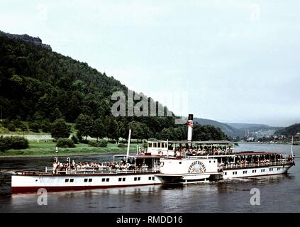 La rame 'Kurort Rathen' de la Weisse Flotte sur son chemin vers l'aval en direction de l'Elbe à Dresde près de Heidenau. Photo prise le 15 août 1952. Banque D'Images