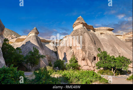 Photos et images de la cheminée de fées des formations rocheuses et des rochers des "Pasaba Valley" près de Göreme, Cappadoce, Nevsehir, Turquie Banque D'Images