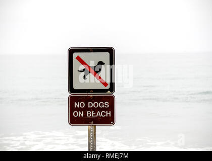 Pas de chiens sur la plage. Banque D'Images