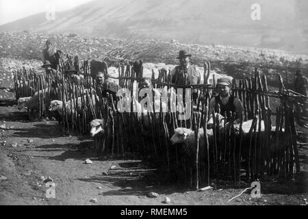 Bergers, Pescocostanzo, Rocca pia, l'Aquila, Abruzzo, Italie, 1920 Banque D'Images