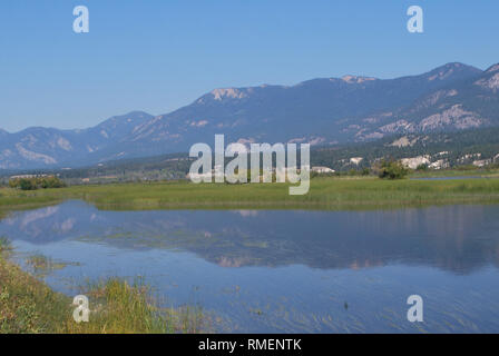 La réflexion des Rocheuses dans le cours supérieur de la rivière Columbia, dans le sud-est de la Colombie-Britannique ajouter à la beauté de cet important milieu humide. Banque D'Images