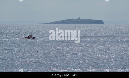 Petit bateau de pêche chasse par des goélands sur le Firth of Forth avec l'île de mai dans la distance. Crail, Fife, Scotland, UK. Banque D'Images