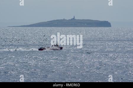 Petit bateau de pêche chasse par des goélands sur le Firth of Forth avec l'île de mai dans la distance. Crail, Fife, Scotland, UK. Banque D'Images