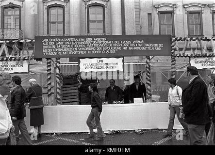 Stand de vente de GPL Pflanzenproduktion Vippachedelhausen sur le "Zwiebelmarkt" (marché de l'Oignon), une fête folklorique à Weimar. Banque D'Images