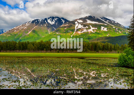 L'une des nombreuses vues panoramiques le long de la Seward Highway dans la forêt nationale de Chugach en Alaska. Les montagnes reflètent dans l'étang de nénuphars sauvages en juin. Banque D'Images