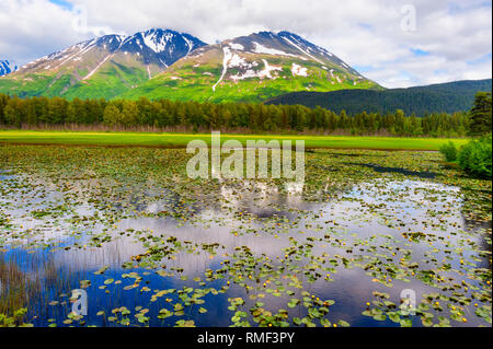 L'une des nombreuses vues panoramiques le long de la Seward Highway dans la forêt nationale de Chugach en Alaska. Les montagnes reflètent dans l'étang de nénuphars sauvages en juin. Banque D'Images