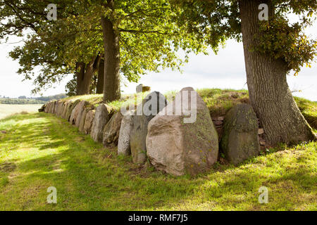 Tombe mégalithique, Schleswig-Holstein, Allemagne, Europe Banque D'Images