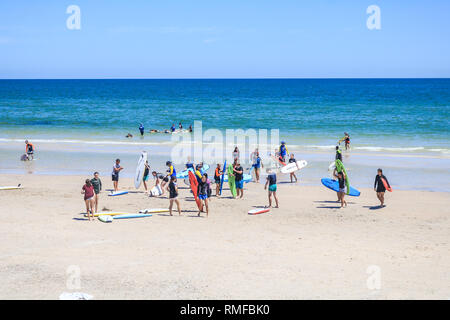 Adelaide en Australie. 15 février 2019. Les surfeurs profiter du bain de l'été à la plage à Adélaïde avec des températures dans les années 20 élevée après mais légèrement plus faible après une canicule prolongée d'une durée de 50 jours avec la température a atteint des records à  +40 celsius Crédit : amer ghazzal/Alamy Live News Banque D'Images