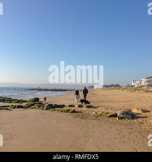 Bancs, Poole, Dorset. 15 févr. 2019. Météo France : le soleil brille, et les chiens sur la plage de Sandbanks ce matin. Cred Credit : Suzanne McGowan/Alamy Live News Banque D'Images