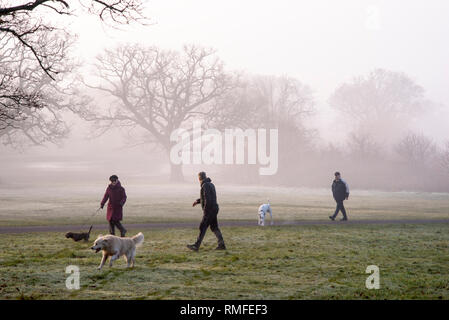 Commune de Southampton. 15 févr. 2019. Météo France : haute pression continue à dominer le temps, résultant en un début de journée brumeuse pour dog walkers sur Southampton Common. Credit : James Hughes/Alamy Live News Banque D'Images