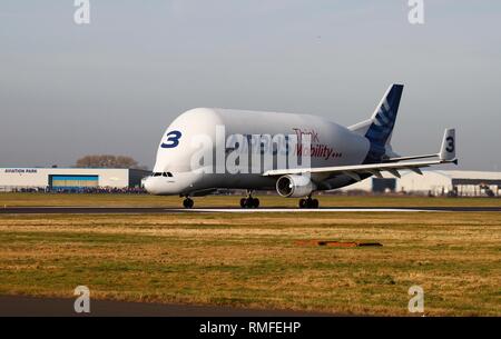 Broughton, au Royaume-Uni. Feb 15, 2019. Transporteur Beluga d'Airbus décolle à Hawarden Airport après l'arrivée de la nouvelle XL Beluga Crédit : IAN Fairbrother/Alamy Live News Banque D'Images