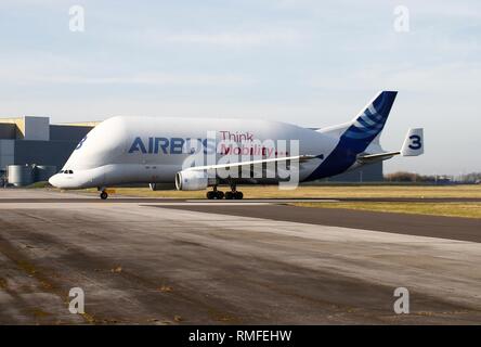 Broughton, au Royaume-Uni. Feb 15, 2019. Transporteur Beluga d'Airbus décolle à Hawarden Airport après l'arrivée de la nouvelle XL Beluga Crédit : IAN Fairbrother/Alamy Live News Banque D'Images