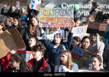 Cardiff, Wales, UK. Feb 15, 2019. L'école les enfants de partout au pays de Galles ont pris part à une protestation nationale contre le changement climatique dans l'espoir que le gouvernement fera davantage pour éviter à l'Assemblée nationale du Pays de Galles à Cardiff Bay, le 15 février 2019, Cardiff, Royaume-Uni, le 15 février 2019, le Crédit : Shaun Jones/Alamy Live News Banque D'Images