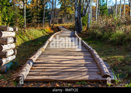 Belle et longue piste de chemin en bois pour la nature randonnée en forêt autour du Musée Archéologique de Araisi Park, la Lettonie. Banque D'Images