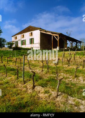 Voir à ne plus vieilles vignes chez le duo, un traditionnel en pierre, ancienne ferme à bas-côtés à l'extérieur de St Vivien de Monségur, près de La Réole, Bordeaux, France. Banque D'Images