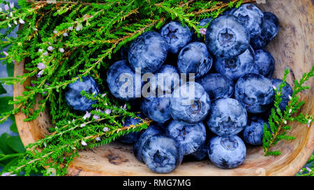 Antioxydants bleuets super aliments contenant de la Laponie. Petits fruits antioxydants dans un bol en bois de bouleau frisé Banque D'Images