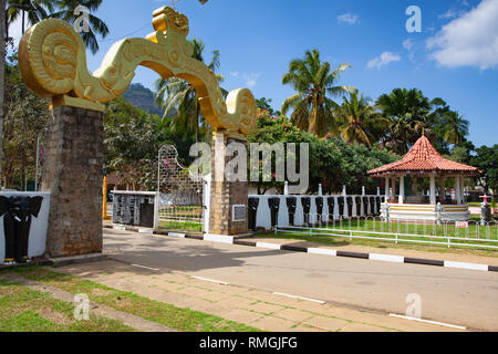 Aluvihare,Sri Lanka - Janvier 23,2019 : le Temple Rock Aluvihare (également appelé Matale Alu Vihara) est un temple bouddhiste situé dans Aluvihare, M Banque D'Images