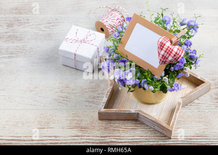 Campanula fleurs dans un pot d'or Banque D'Images