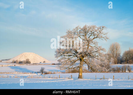 Arbre de chêne dépoli en face de Silbury Hill dans la neige de l'hiver au lever du soleil. Avebury, dans le Wiltshire, Angleterre Banque D'Images