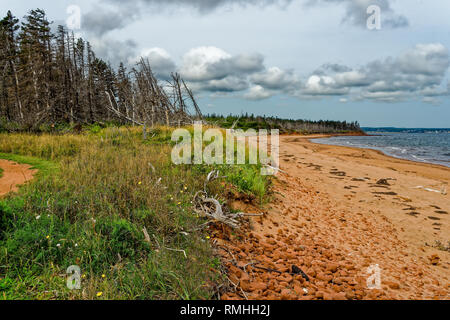 Une plage déserte sur l'Île de Robinson à Prince Edward Island National Park. Banque D'Images