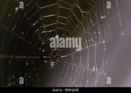 Spider web sur rusty balcon clôture sur fond flou. Focus sélectif. Banque D'Images