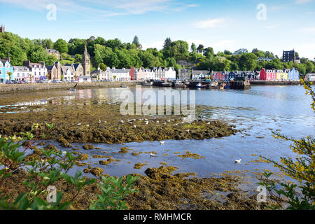 Vue sur la ville de l'autre côté du port, Tobermory, Isle of Mull, Inner Hebrides, Argyll et Bute, Écosse, Royaume-Uni Banque D'Images
