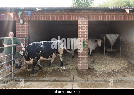 Londres, Angleterre - Juillet 2018 : Homme paysan avec sa vache noir et blanc dans une grange à la ferme Banque D'Images