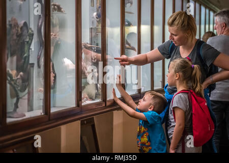 Londres, Angleterre - Octobre 2018 : mère avec enfants à la recherche à l'écran dans la Horniman Museum à Forest Hill Banque D'Images