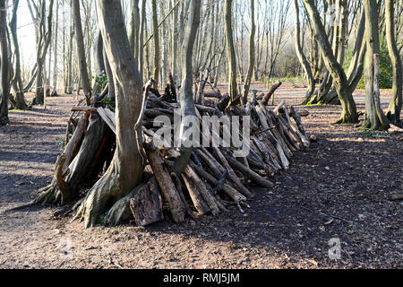 Tanières ou des abris confectionnés à partir de billes et de bois dans la forêt Banque D'Images