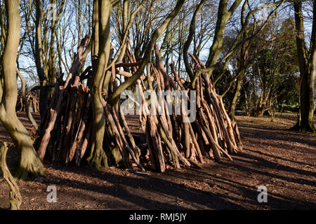 Tanières ou des abris confectionnés à partir de billes et de bois dans la forêt Banque D'Images