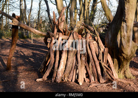 Tanières ou des abris confectionnés à partir de billes et de bois dans la forêt Banque D'Images