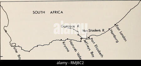 . Annales du Musée de l'Afrique du Sud  = Annale van die Suid-Afrikaanse Museum. L'histoire naturelle. 154 ANNALES DE LA SOUTH AFRICAN MUSEUM 35°S. 20°F 200 Km. 400 25 v 30&Lt ; fig. 1. Carte montrant les localités d'échouages de phoques crabiers en Afrique du Sud. RECORDS Le 22 juillet 1957, une femelle seal sur la plage à Hambourg (33°17'S 27°30'E) (Courtenay-Latimer, 1961). Les auteurs ont déterminé la longueur condylo basale- (CBL) du crâne que 241 mm, et la longueur standard du spécimen monté sur l'affichage à l'East London Museum (572) que l'ORME 1,69 m. Le 17 mars 1968 la carcasse d'un décomposé Banque D'Images