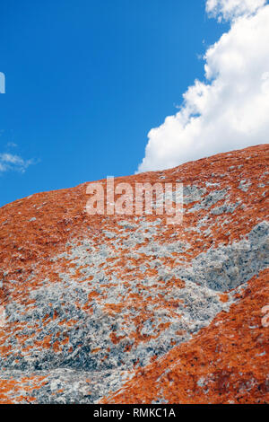 Lichen orange sur les rochers côtiers, baie Binalong Bay, Bay of Fires, Tasmanie, Australie Banque D'Images