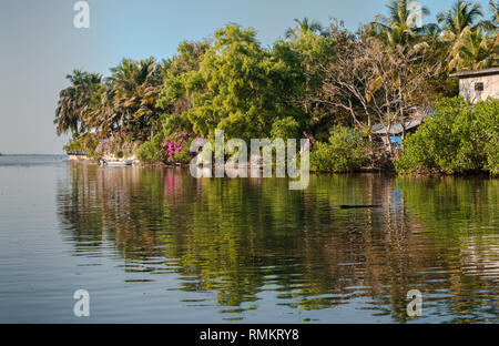 Beau littoral des Ghâts occidentaux de l'Inde du Sud. Celui-ci étant les backwaters/lagon. Si à la réflexion sur la mer envoûtante à l'horizon. Banque D'Images