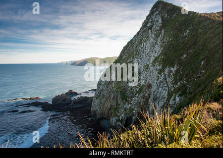 Roaring Bay Nugget Point,, dans les Catlins, Nouvelle-Zélande. Scène côtière à couper le souffle, côte rocheuse et fond de ciel bleu Banque D'Images