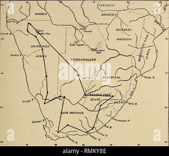 . Annales du Musée de l'Afrique du Sud  = Annale van die Suid-Afrikaanse Museum. L'histoire naturelle. Contribution à la faune des crustacés de l'Afrique du Sud. 193. Fig. 4.-Kecorded Branchipodopsis français du genre en Afrique du Sud. (Voir la légende de la fig. 2.) pour les espèces de l'Afrique du Sud (mâles). I. dernier segment abdominal sans épines ventrales. A. Un processus ventral médian entre les bases du 2e antenne. 2e. suspenseur de l'antenne 1. Processus de base de l'antenne 2e sur une large base conique . 2. Processus de base cyUndrical. a. Sommet du processus de base avec un point b. Apex de processus basal avec trois points B. Banque D'Images