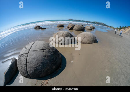 Les Moeraki Boulders sont exceptionnellement grandes et rochers sphériques situées le long d'un tronçon de la Koekohe plage sur la côte d'Otago coupé de la Nouvelle-Zélande entre Banque D'Images