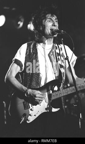 Le guitariste Ron Wood, mieux connu en tant que membre des Rolling Stones et des visages, est montré sur scène pendant un concert 'live' avec son groupe solo. Banque D'Images