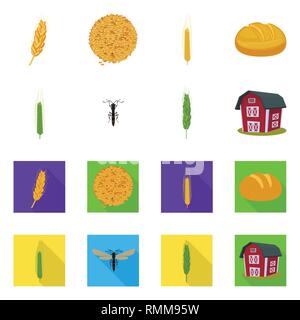 Printemps, pain, voler,grenier,spike,graines,hiver,bâtiment,insectes,Culture,dur,industrie,lutte,farine,l'alimentation, contrôle, des semences de céréales,automne,petit déjeuner,stop,oreille,orge,chignon,ailes,son,maïs,sain,agriculture,insecticide,agriculture,seigle,plantes,blé,maïs,grain,récolte,ferme,,champ,set,icône,,illustration,collection,isolé,design,graphisme,élément vecteur vecteurs,signer , Illustration de Vecteur